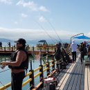 사천어촌체험휴양마을 이미지