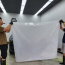범퍼카프로 네이버블로그