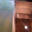 거북이집 이미지