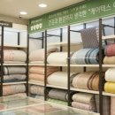 텍스존