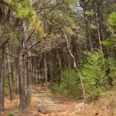 황령산레포츠공원 게이트볼장 이미지