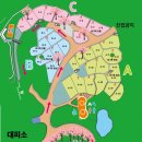 칠곡 가산수피아캠핑장 벚꽃 사이트 소개 :) 아이와 대구근교캠핑장