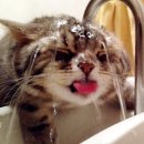 연두동물병원 이미지