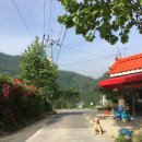 명돌캠프 이미지