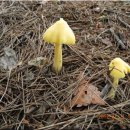 보경사우나 이미지