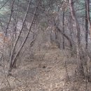 사라3마을회관 이미지