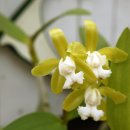 유정농원 이미지