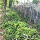 길원농장 이미지