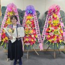주식회사 미쁨생활건강 뉴스로드