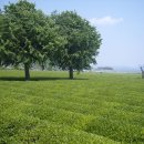 임실치즈마을 이미지