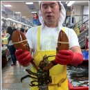 일성상회 이미지