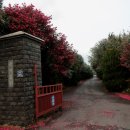 로타리 꽃농원 이미지