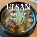 본죽&비빔밥(울산매곡점) | 울산 북구 매곡 맛집 삼정한우 축산 점심 갈비탕 한우차돌된장찌개