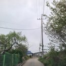 부상보건진료소 | [김제 카페]미즈노씨네 트리하우스/고양이가 살고 있는 나무로 둘러싸인 정겨운 카페 추천