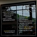 양도면-8 | 강화도 가족 글램핑 추천 별빛숲캠핑바베큐 내돈내산 후기