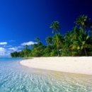 풀빛소리 이미지