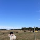 부자목장 이미지