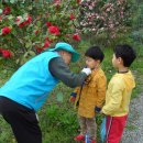 금부초병설유치원 이미지