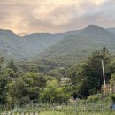 삼용농장 이미지