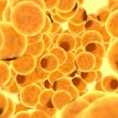 본치한의원 이미지