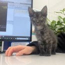 진정훈동물병원 이미지