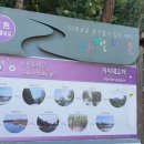 서탄민물장어 이미지