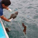 인천민박 이미지