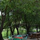 강변쉼터 민박 이미지