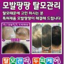 큐사랑화장품