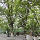 이시아요양병원 이미지