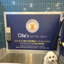 올리스 남양주별내점 이미지