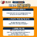 BLSO 복싱 아카데미 이미지