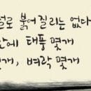 차가좋다