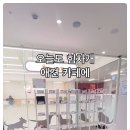 오늘도, 이쁘개 이미지