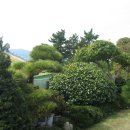 석전농장 이미지