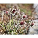 한밭수목원 서원 이미지