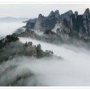 신탄만도프라자 이미지