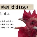 홰 이미지