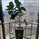 해커스 PC방 이미지