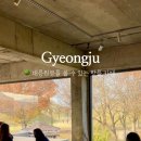 도리 경로당 이미지