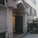 학동 애견 이미지