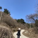 삼죽 기솔리 국사암 석조여래입상 | 한남정맥 안성 삼죽 국사봉 등산코스 국사암 출발