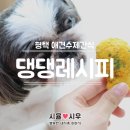 댕댕레시피 이미지