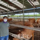 형환축산 이미지