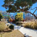 조리체육공원 축구장 이미지