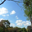 연중반점 이미지