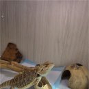 해피주 수원점 이미지