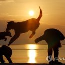 황금축산 이미지