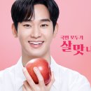 홈플러스, 새 광고 모델로 배우 김수현 발탁 이미지