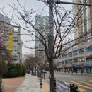 광덕산로 이미지